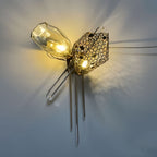 LUSTRE 8