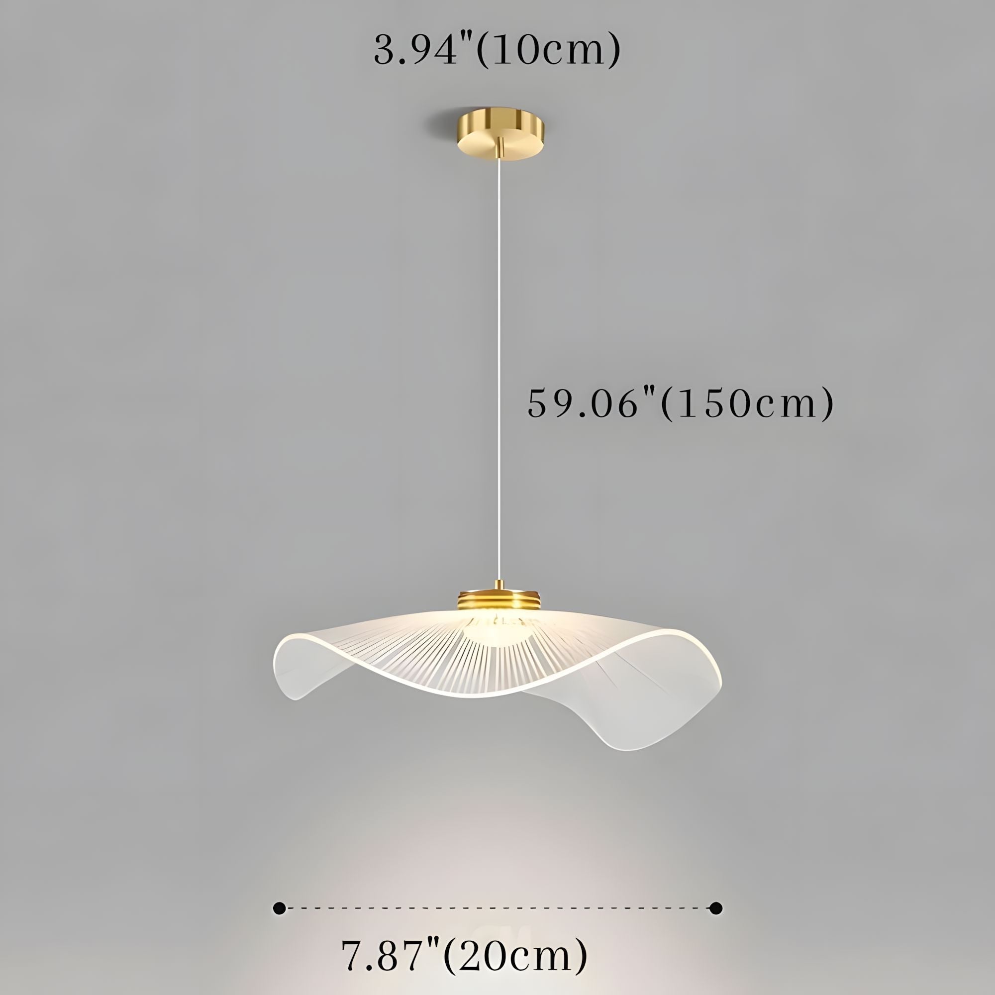 MYCEL 8