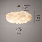 NIMBUS 10