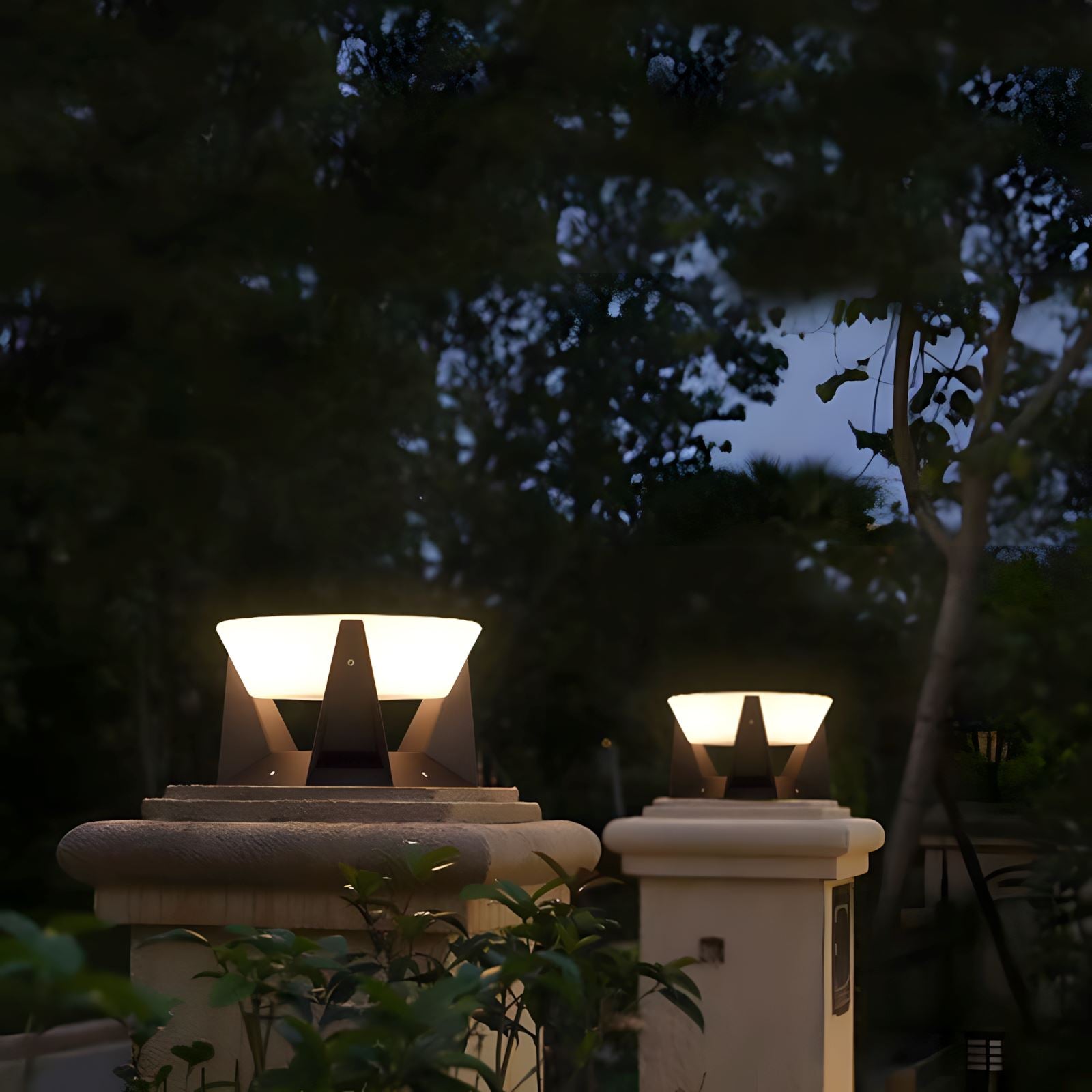 NOCTARA 7