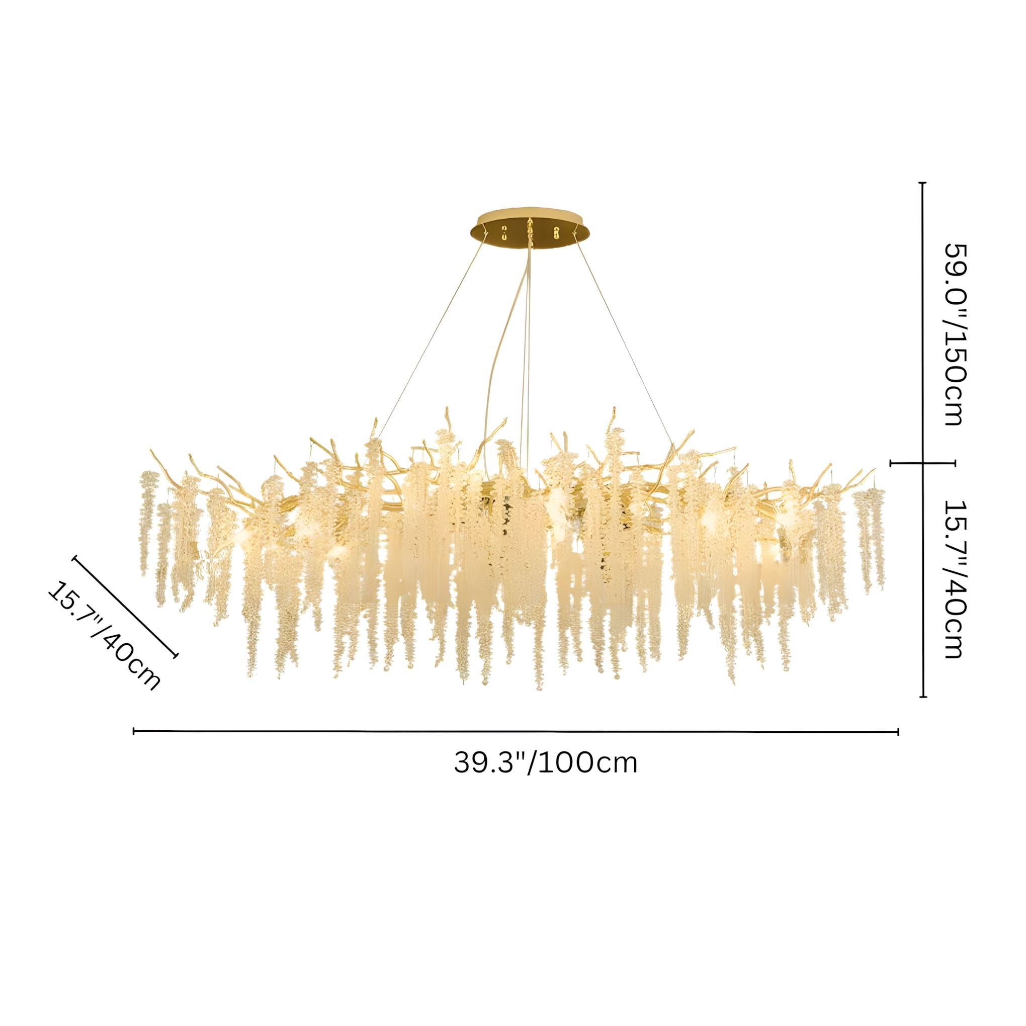 ORCHIDÉE 11