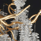 ORCHIDÉE 6