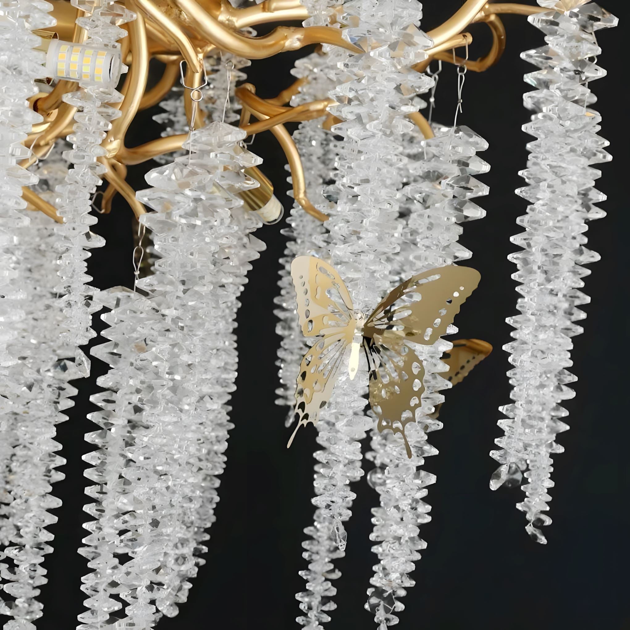 ORCHIDÉE 8