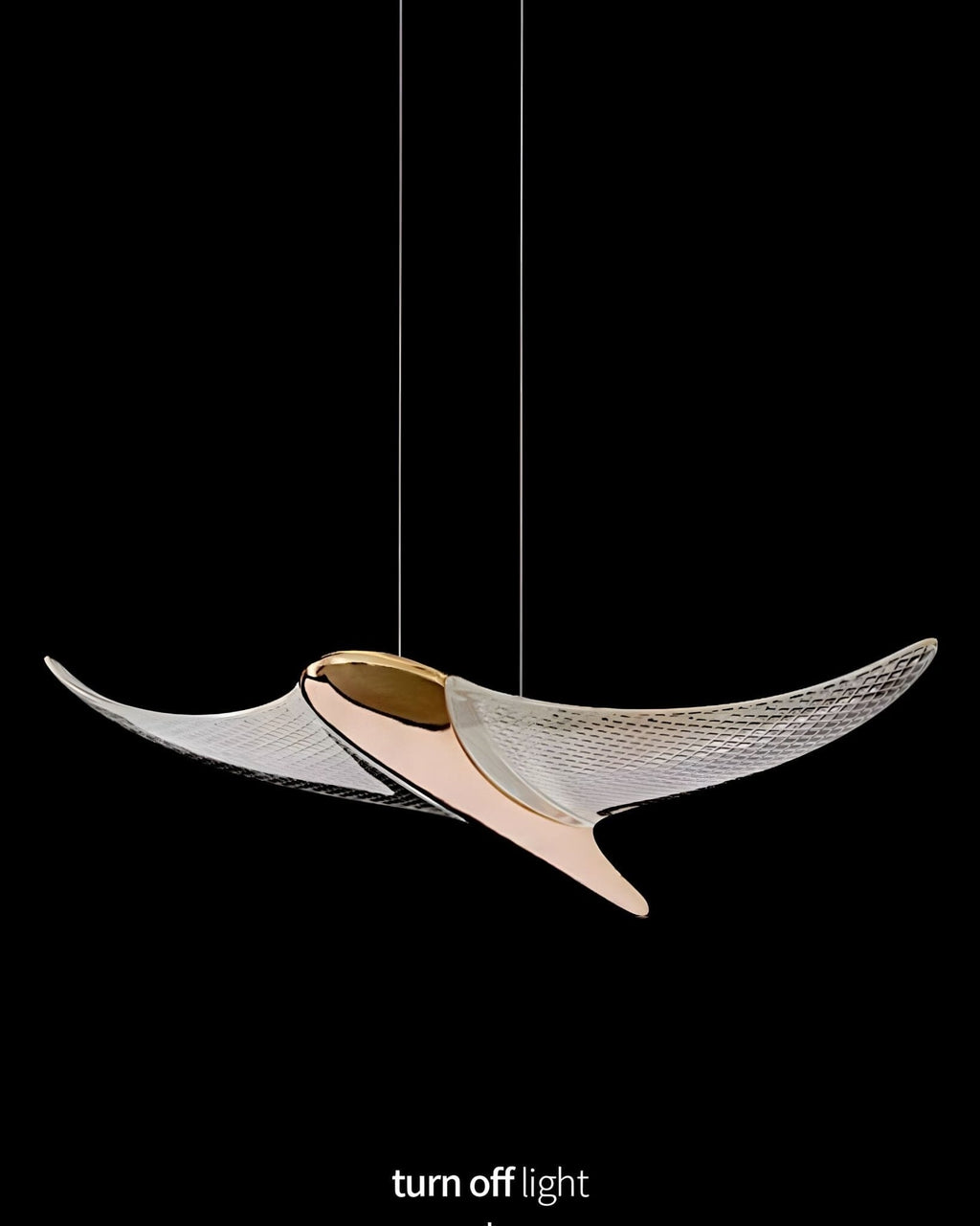 VOLANS 5