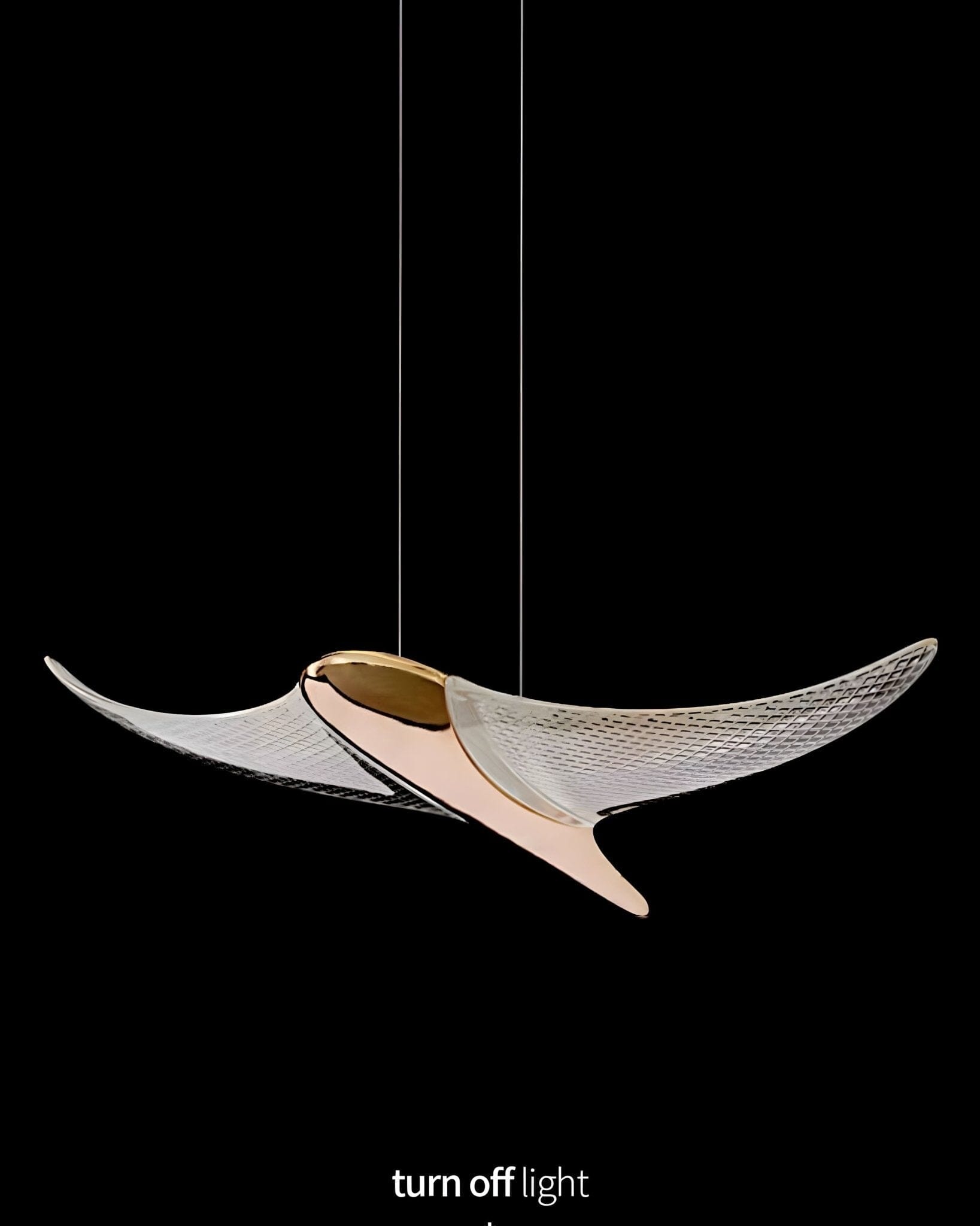 VOLANS 5
